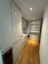 Skysuites@Anson (D2), Apartment #543623821
